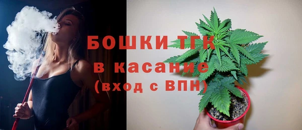 ALPHA PVP Богородицк