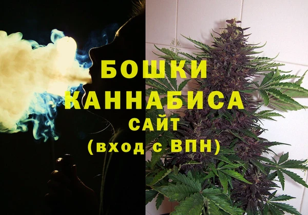 ALPHA PVP Богородицк