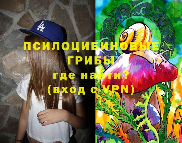 хмурый Богородск