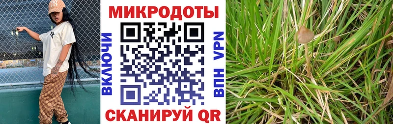 Псилоцибиновые грибы мицелий  Володарск 